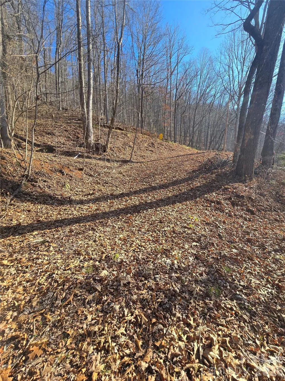 32 Black Mountain Road Cullowhee, NC 28723