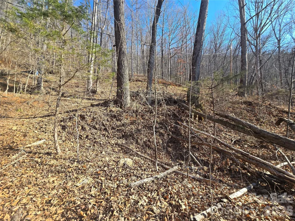 32 Black Mountain Road Cullowhee, NC 28723