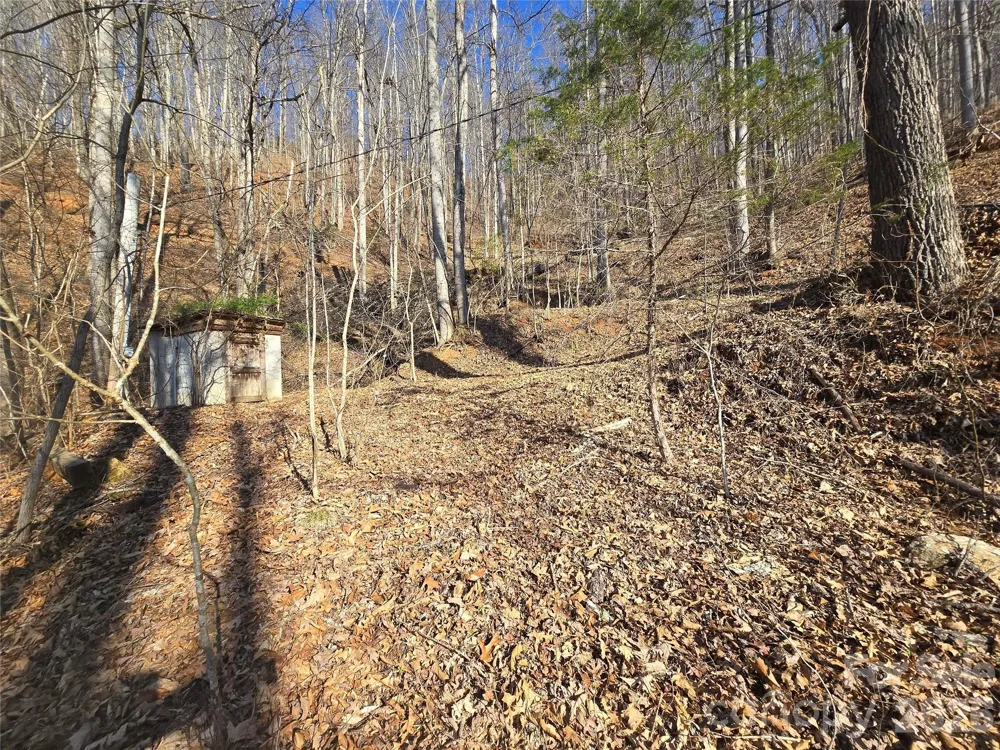 32 Black Mountain Road Cullowhee, NC 28723