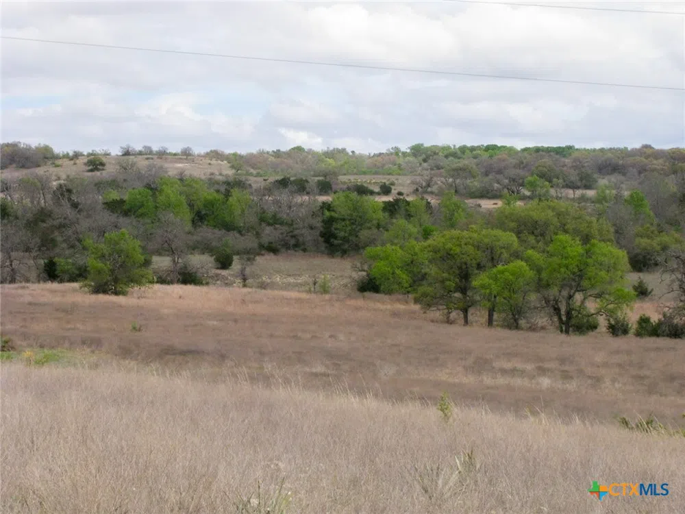3485 County Road 530 Evant, TX 76525