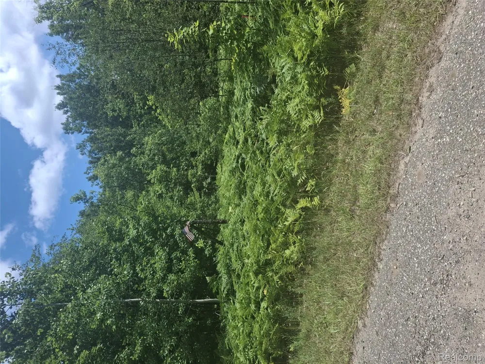 Lot 144 Circle Mancelona Township, MI 49659