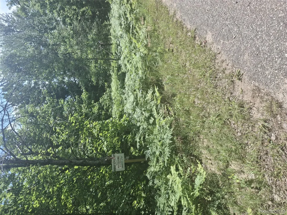 Lot 144 Circle Mancelona Township, MI 49659