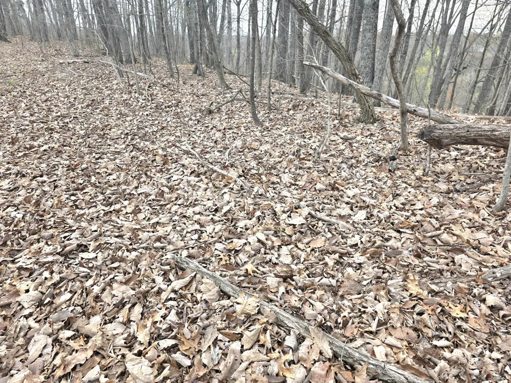 0 Windy Cut Dr Dowelltown, TN 37059