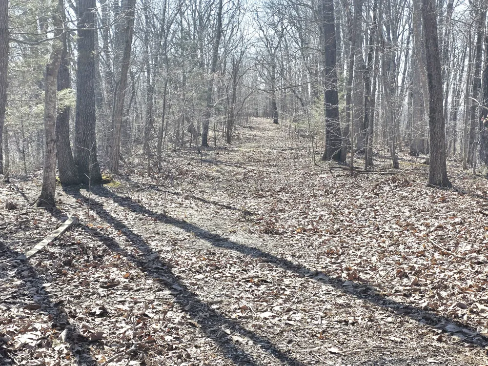 0 Windy Cut Dr Dowelltown, TN 37059