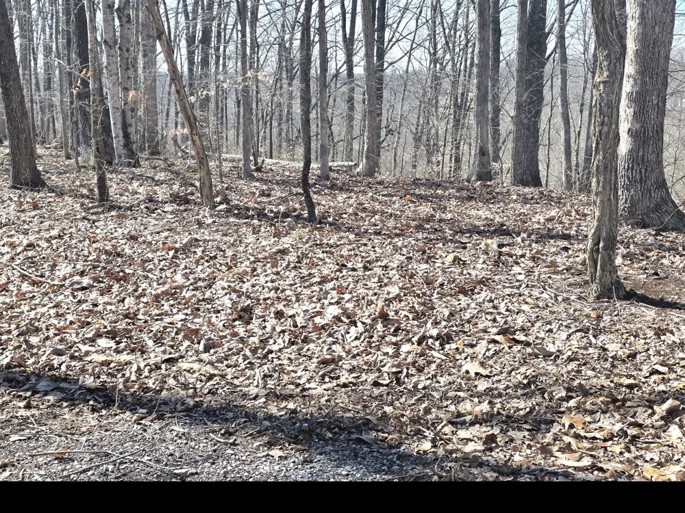 0 Windy Cut Dr Dowelltown, TN 37059