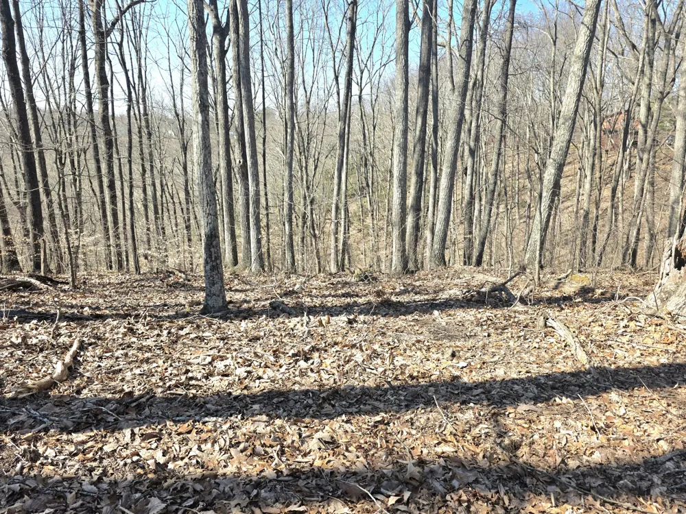 0 Windy Cut Dr Dowelltown, TN 37059