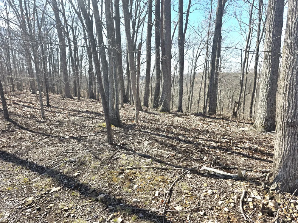 0 Windy Cut Dr Dowelltown, TN 37059