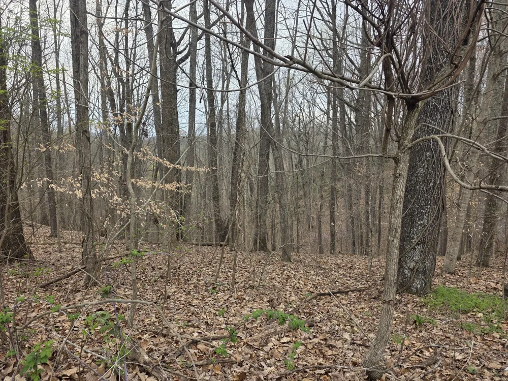 0 Windy Cut Dr Dowelltown, TN 37059