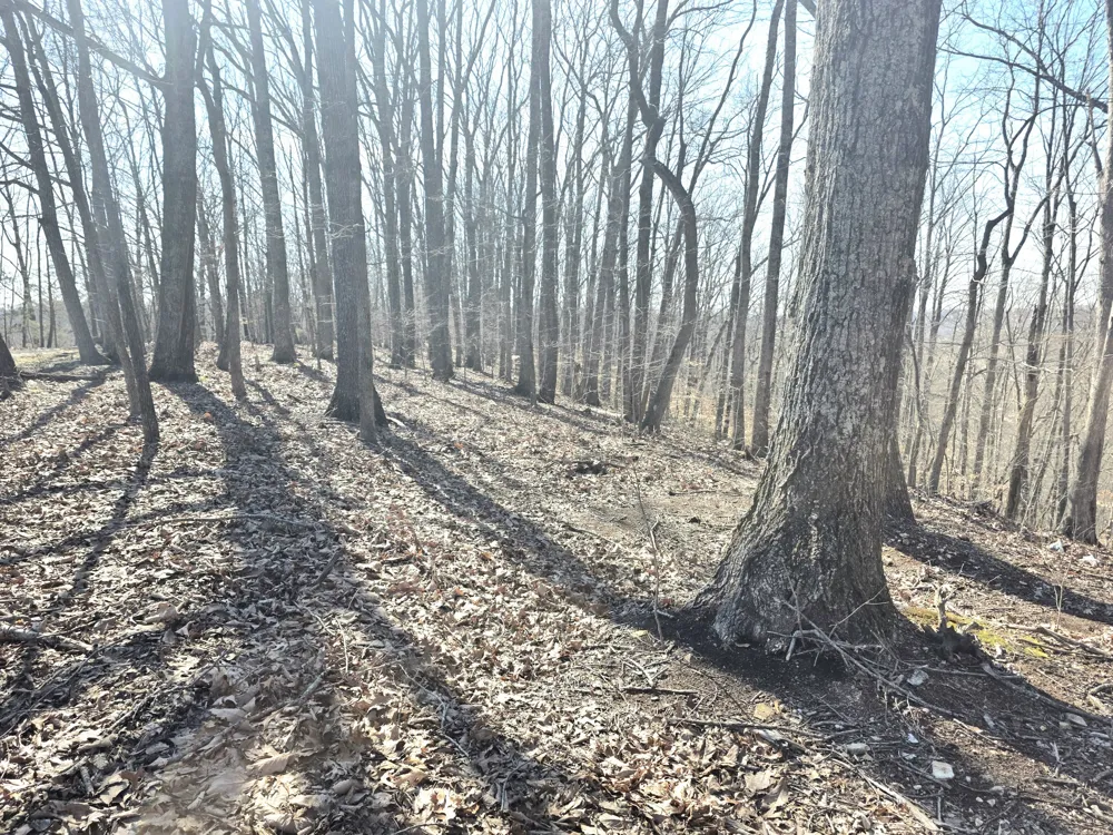 0 Windy Cut Dr Dowelltown, TN 37059
