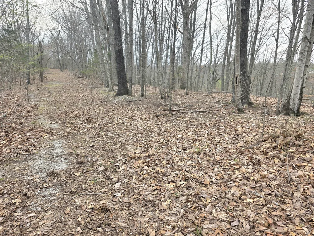 0 Windy Cut Dr Dowelltown, TN 37059