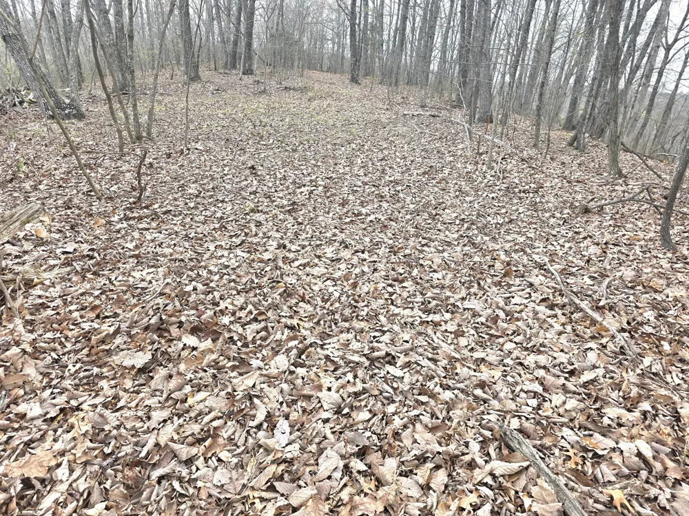 0 Windy Cut Dr Dowelltown, TN 37059