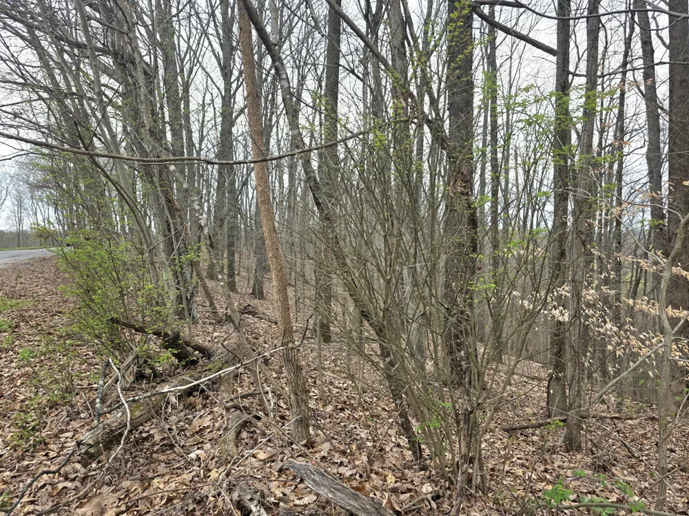 0 Windy Cut Dr Dowelltown, TN 37059