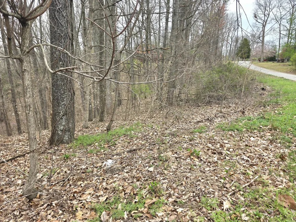 0 Windy Cut Dr Dowelltown, TN 37059