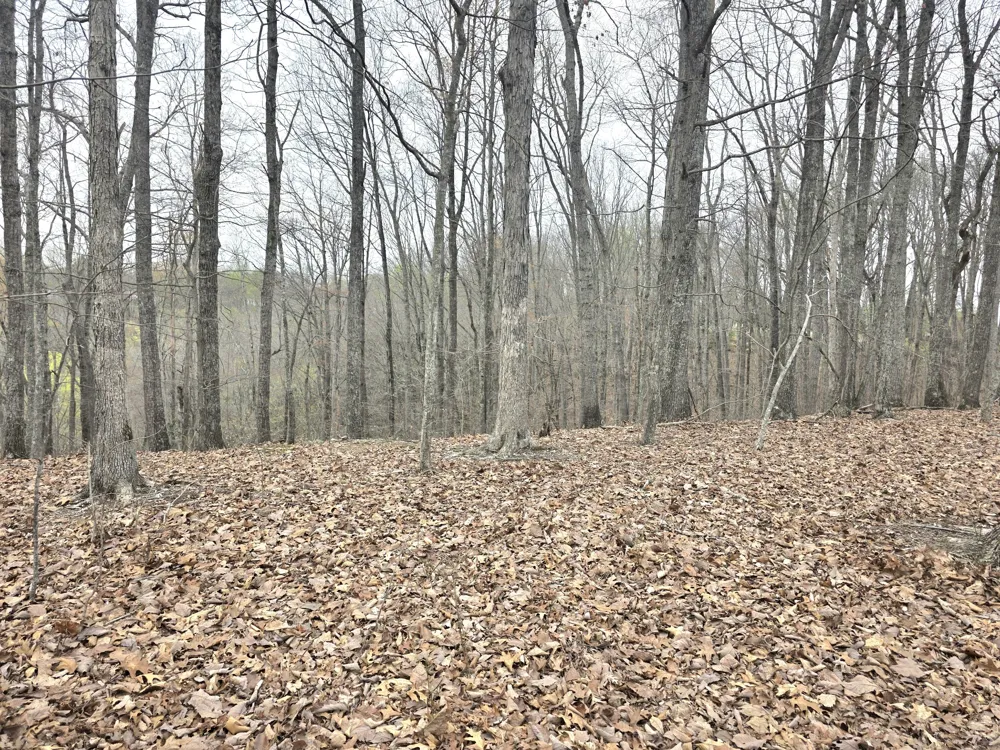 0 Windy Cut Dr Dowelltown, TN 37059