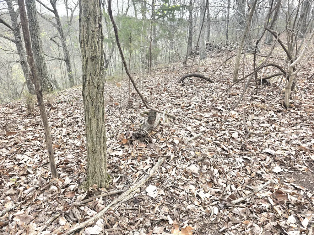 0 Windy Cut Dr Dowelltown, TN 37059