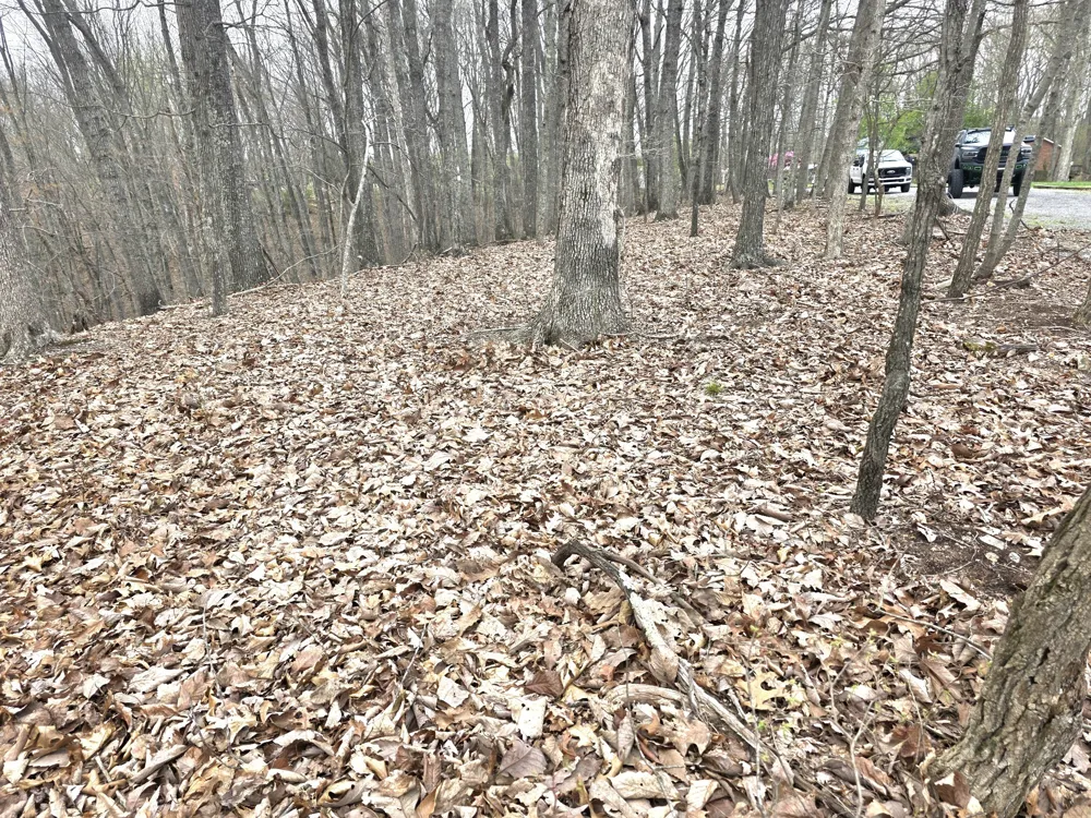 0 Windy Cut Dr Dowelltown, TN 37059