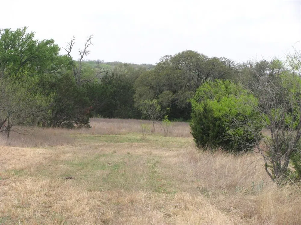 5448 County Road 182 Jonesboro, TX 76538