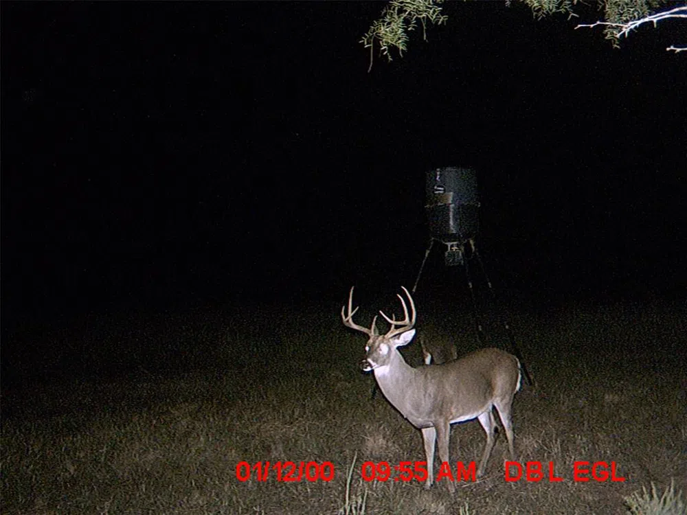 5448 County Road 182 Jonesboro, TX 76538
