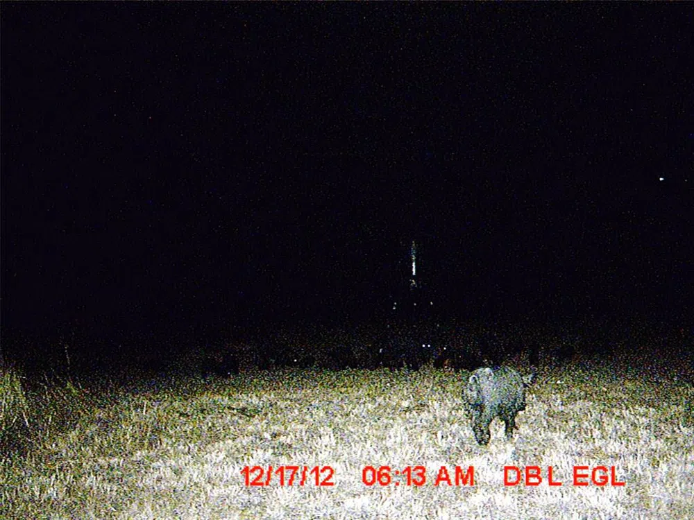 5448 County Road 182 Jonesboro, TX 76538