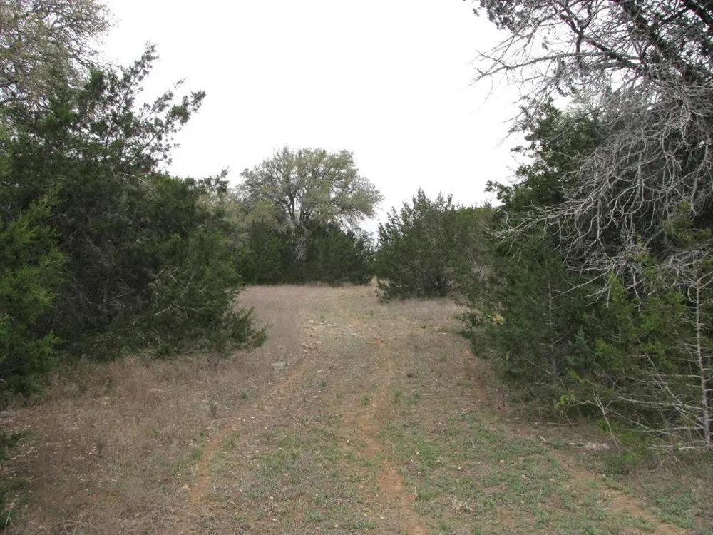 5448 County Road 182 Jonesboro, TX 76538