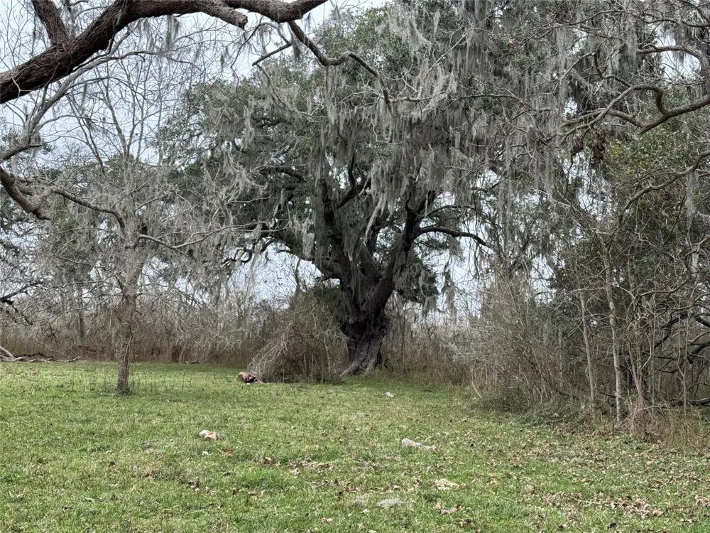 Tx-35 Van Vleck, TX 77482
