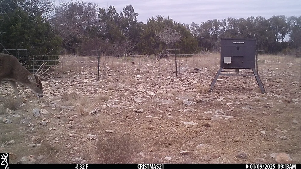 919 SD #16010 Rocksprings, TX 78880