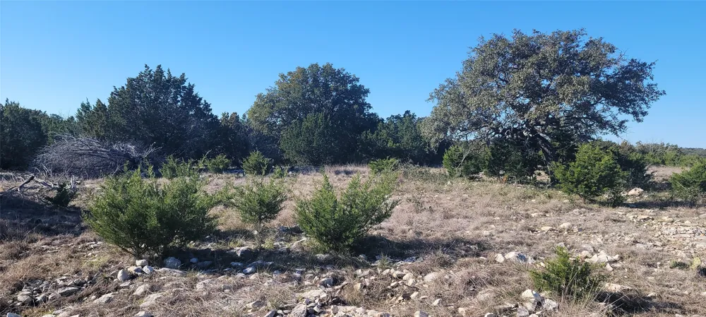 919 SD #16010 Rocksprings, TX 78880