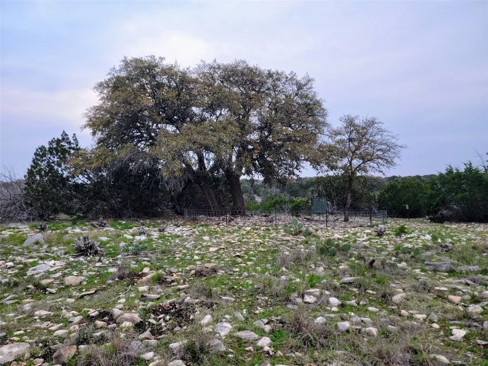 919 SD #16010 Rocksprings, TX 78880