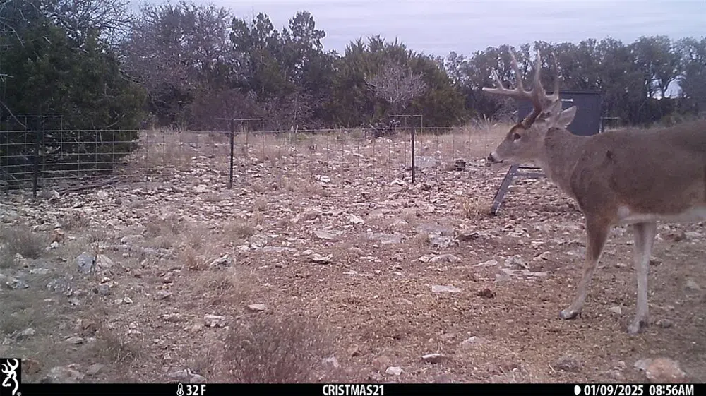 919 SD #16010 Rocksprings, TX 78880