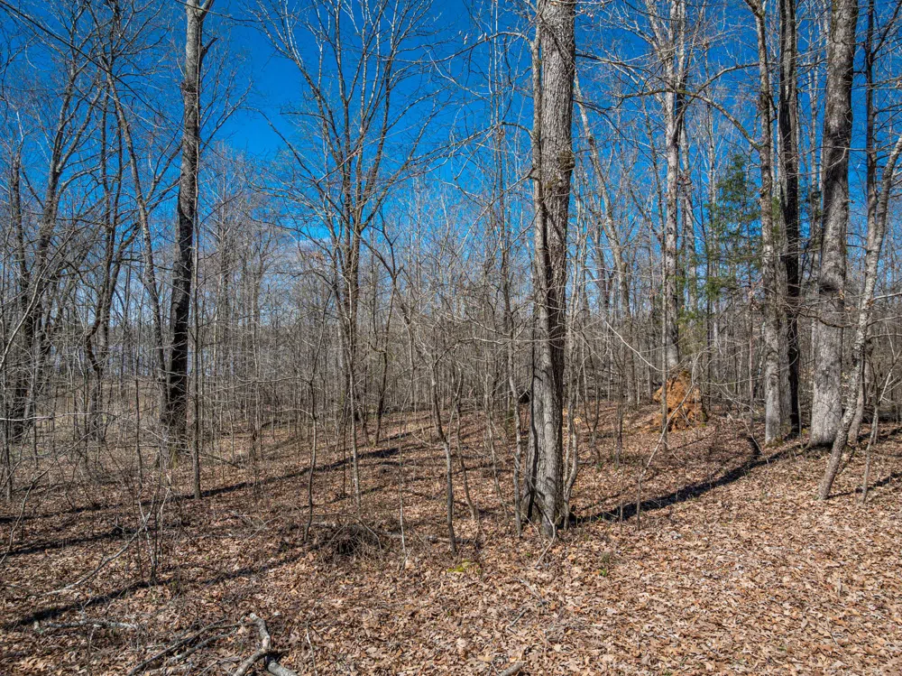 0 Featherfoot PKWY LP Parsons, TN 38363