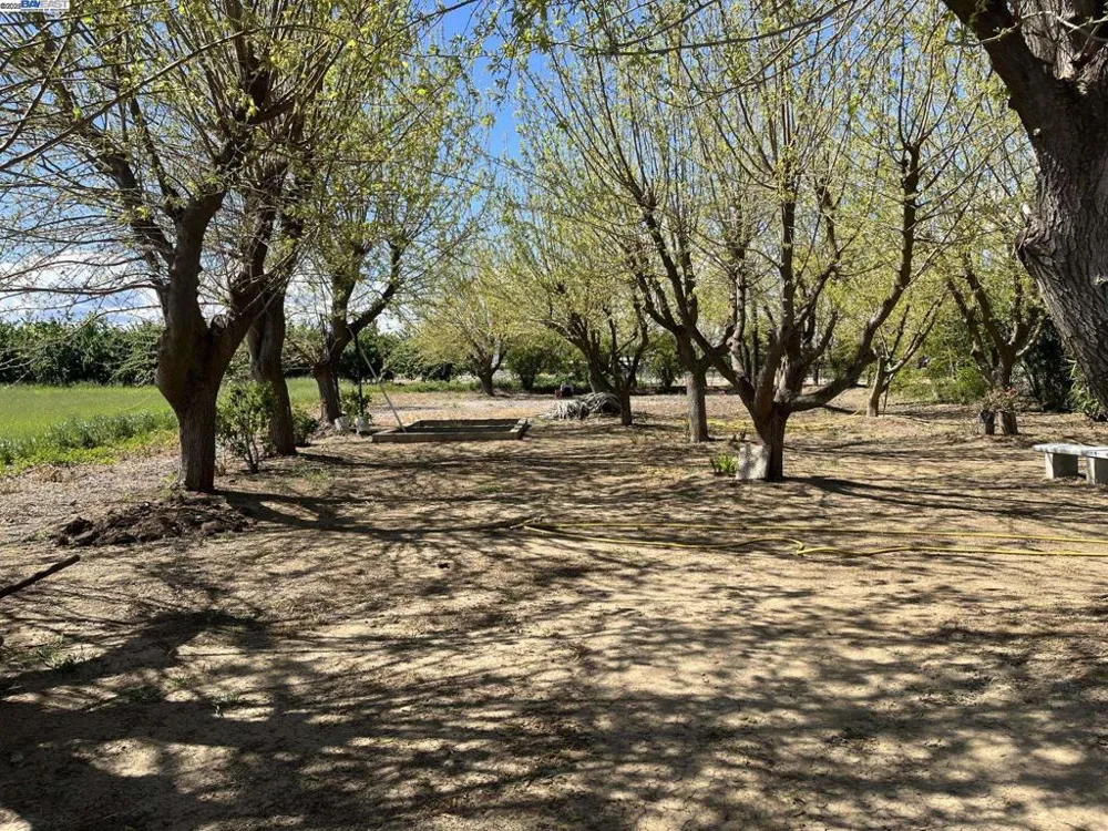 1290 Orange Ave Patterson, CA 95363