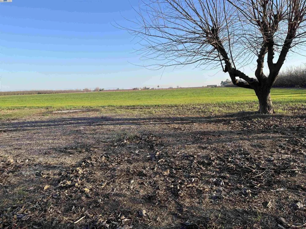 1290 Orange Ave Patterson, CA 95363