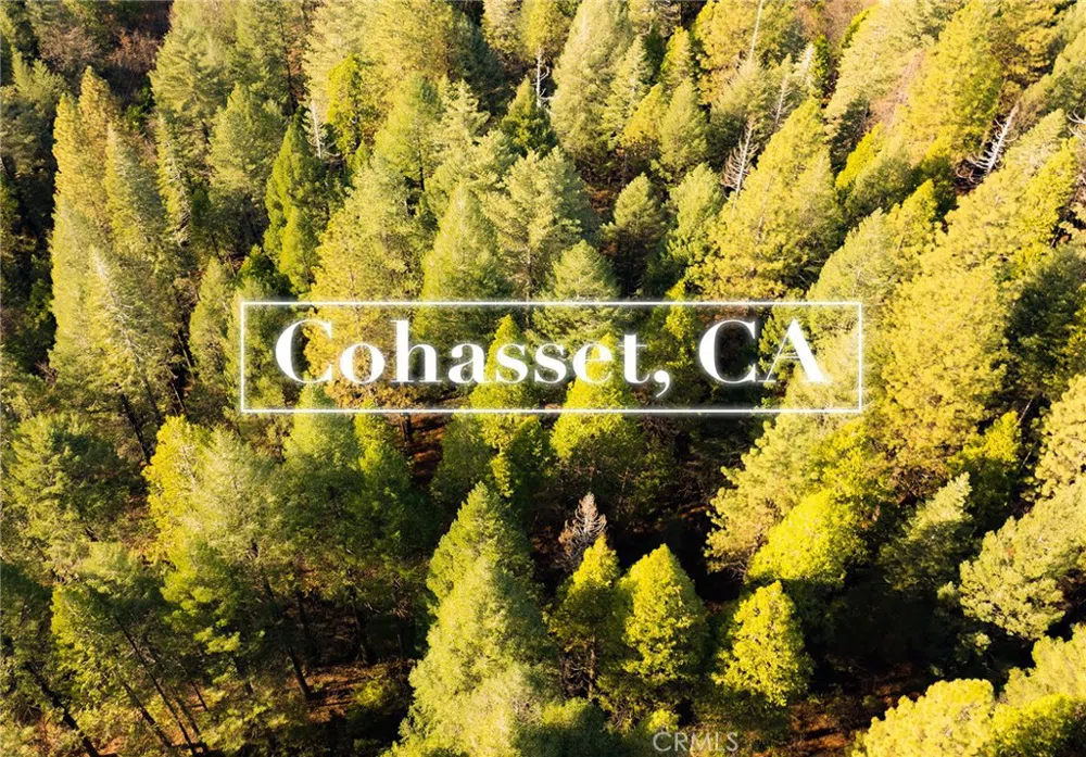 10 Roz Ln Cohasset, CA 95973