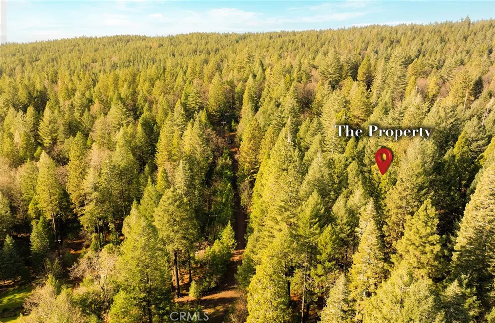 10 Roz Ln Cohasset, CA 95973