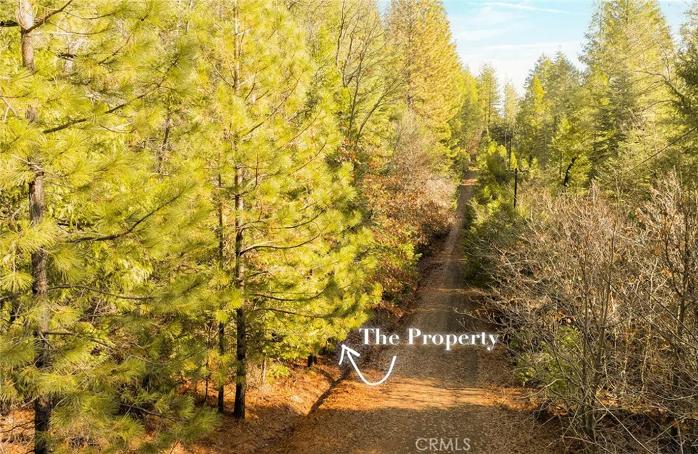 10 Roz Ln Cohasset, CA 95973