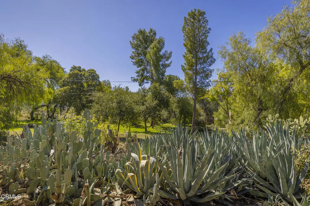 1320 McAndrew Road Ojai, CA 93023