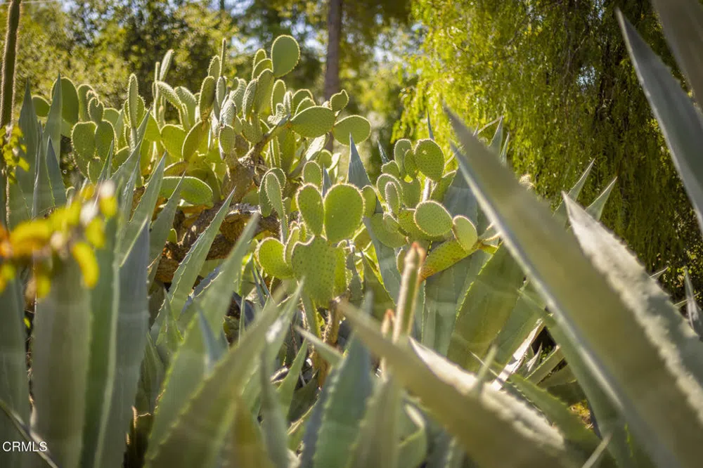 1320 McAndrew Road Ojai, CA 93023