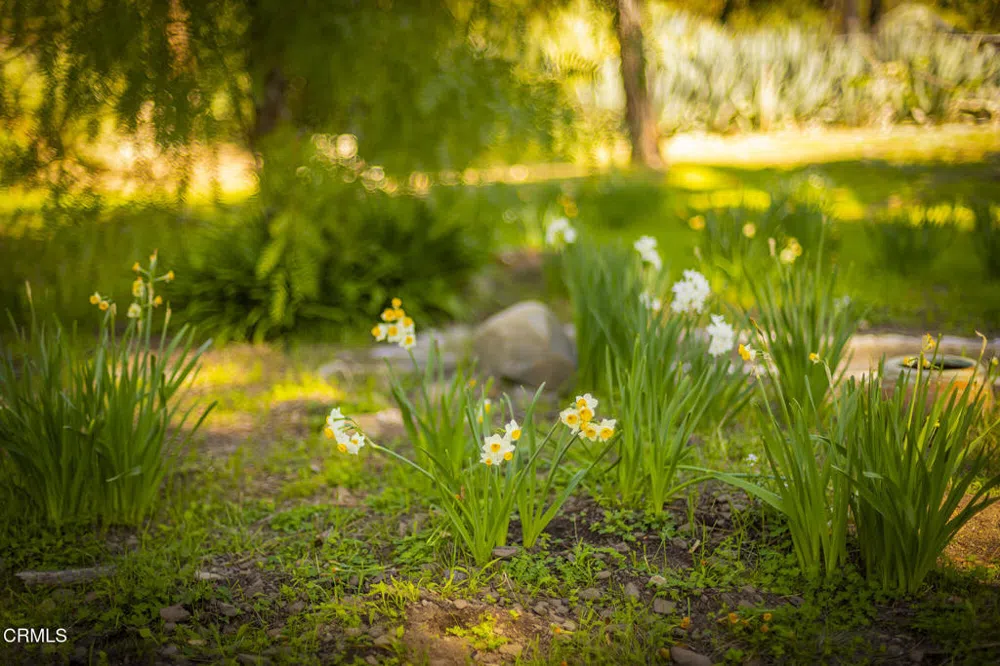 1320 McAndrew Road Ojai, CA 93023