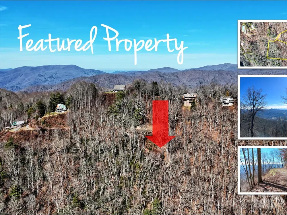 00 Barn Cove Road #61 & 62 Clyde, NC 28721