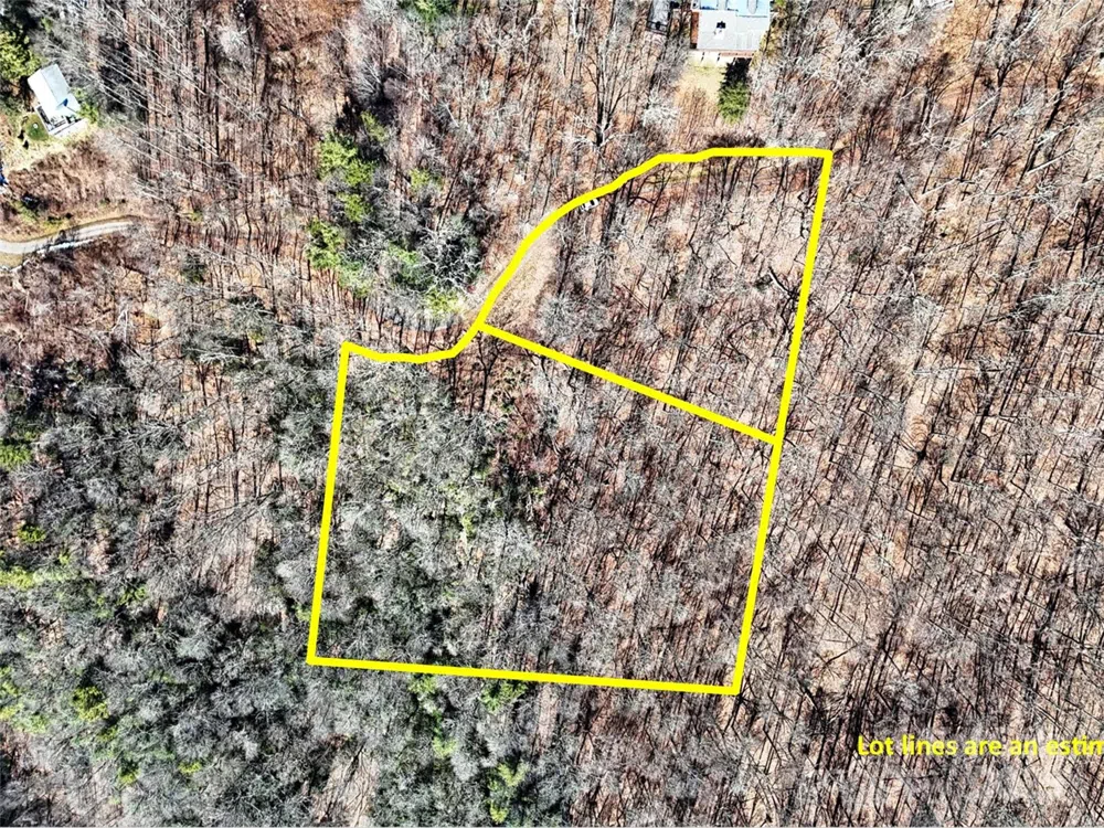 00 Barn Cove Road #61 & 62 Clyde, NC 28721