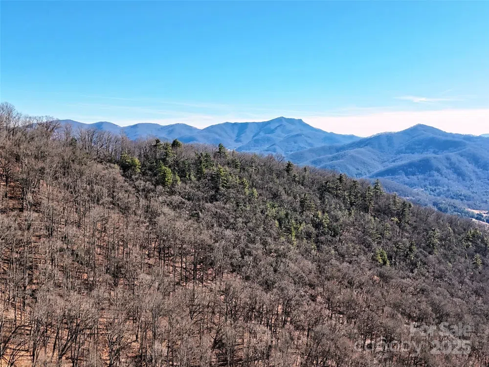 00 Barn Cove Road #61 & 62 Clyde, NC 28721
