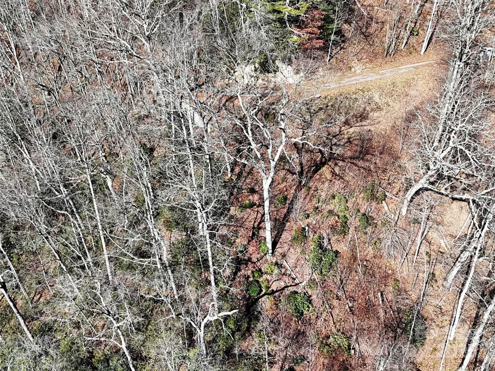 00 Barn Cove Road #61 & 62 Clyde, NC 28721