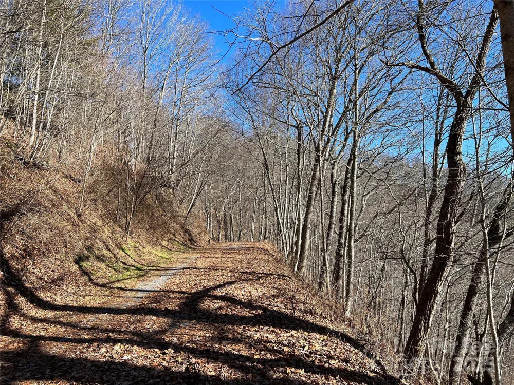 00 Barn Cove Road #61 & 62 Clyde, NC 28721