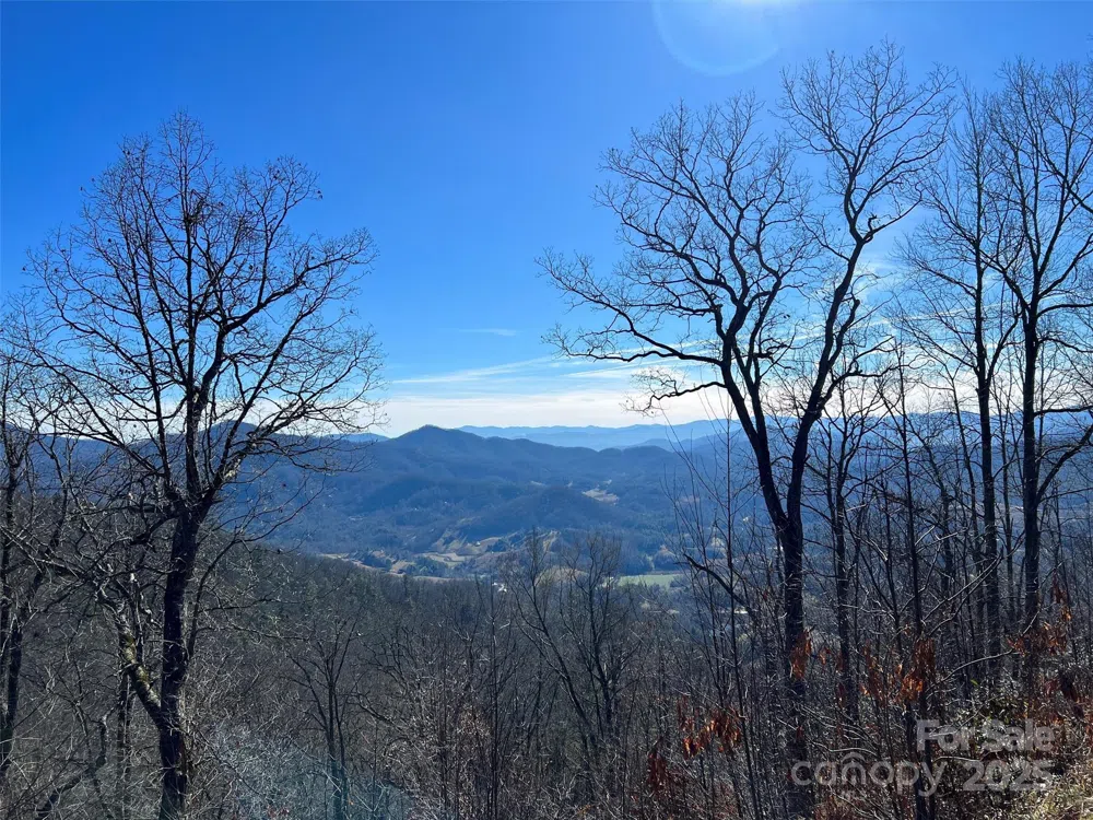 00 Barn Cove Road #61 & 62 Clyde, NC 28721