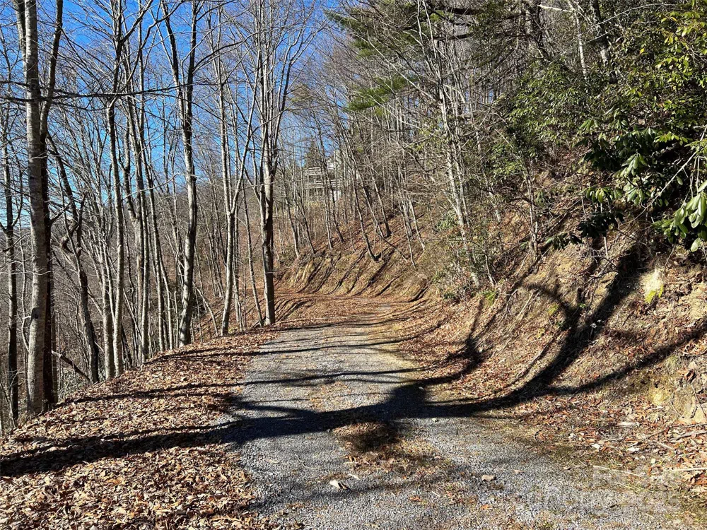 00 Barn Cove Road #61 & 62 Clyde, NC 28721