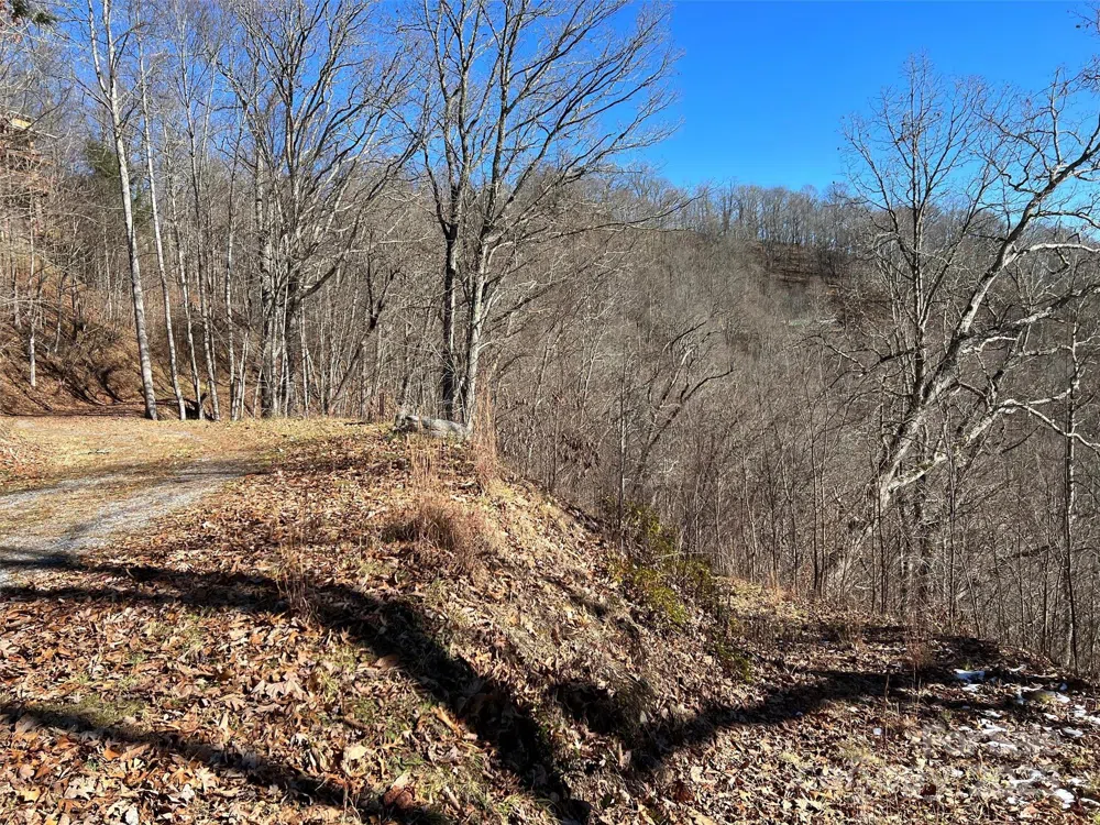 00 Barn Cove Road #61 & 62 Clyde, NC 28721