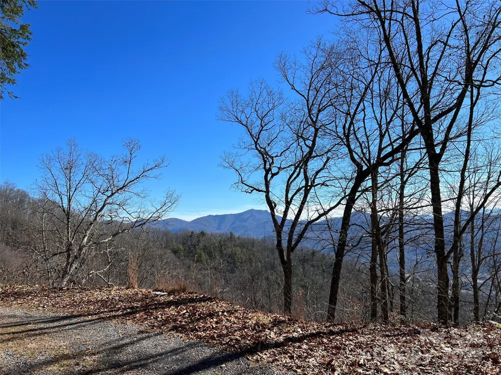 00 Barn Cove Road #61 & 62 Clyde, NC 28721