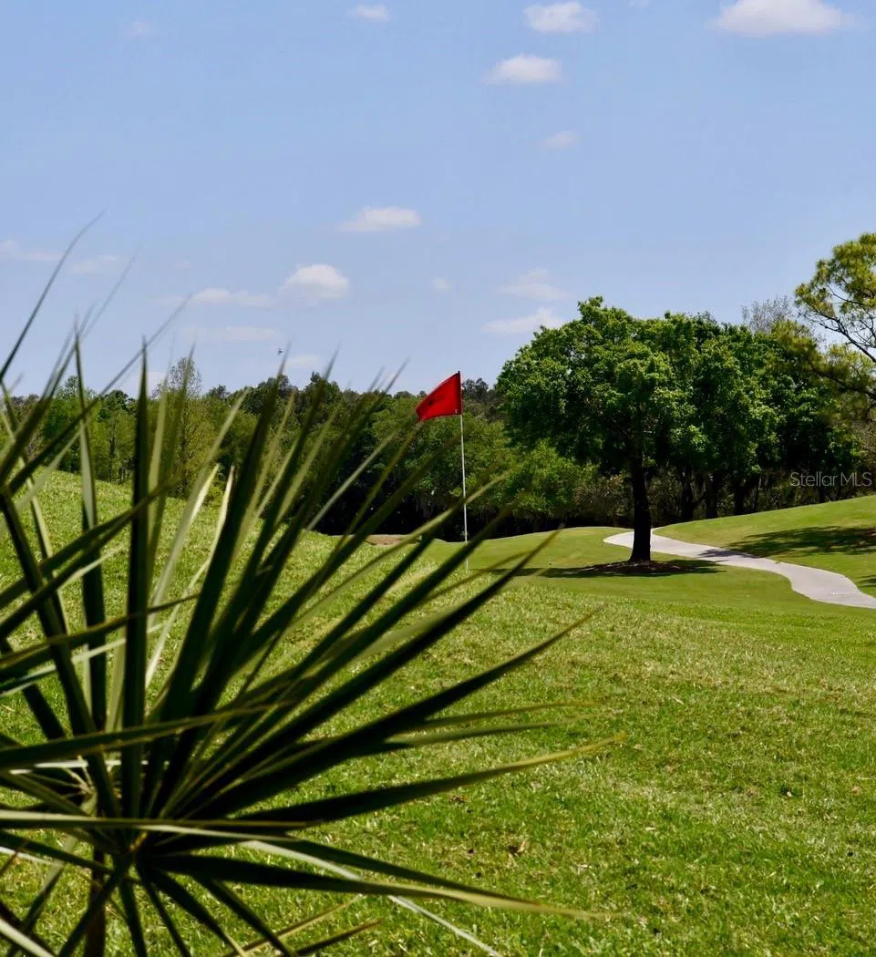 6501 STONE RIVER ROAD #209 Bradenton, FL 34203
