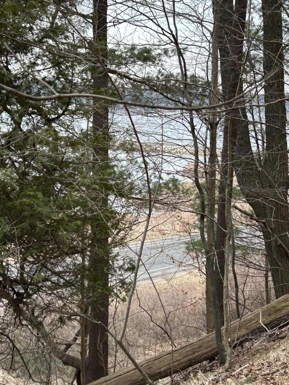 V/L Smugglers Pass Lot 15 Pentwater, MI 49449