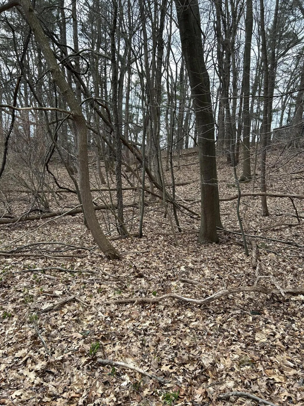 V/L Smugglers Pass Lot 15 Pentwater, MI 49449